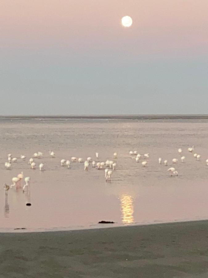 Appartamento Lagoon View Self Catering Walvis Bay Esterno foto