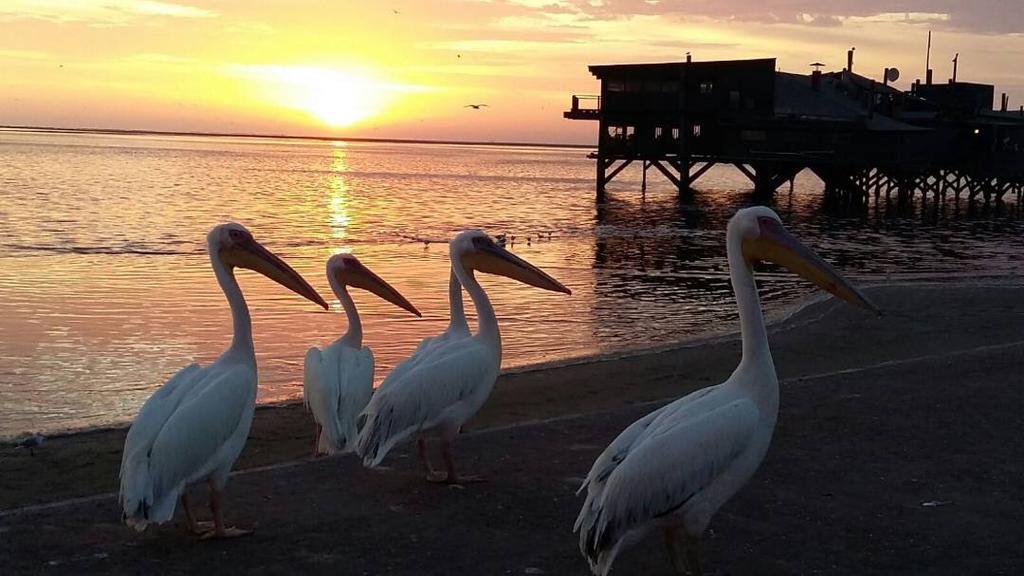 Appartamento Lagoon View Self Catering Walvis Bay Esterno foto